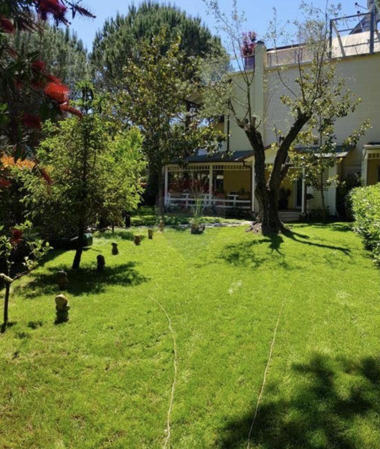 Shera Villa *